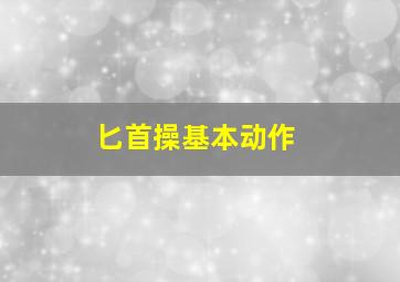 匕首操基本动作