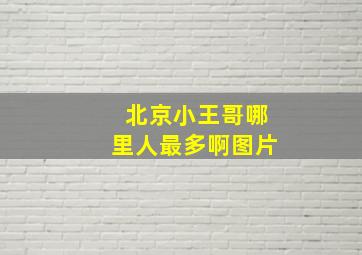 北京小王哥哪里人最多啊图片