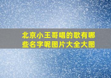 北京小王哥唱的歌有哪些名字呢图片大全大图