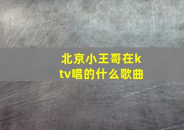 北京小王哥在ktv唱的什么歌曲