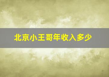 北京小王哥年收入多少