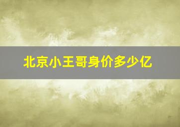 北京小王哥身价多少亿