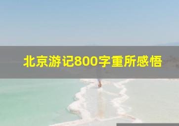 北京游记800字重所感悟