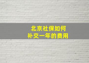 北京社保如何补交一年的费用