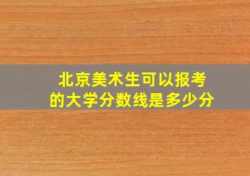 北京美术生可以报考的大学分数线是多少分