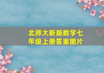 北师大新版数学七年级上册答案图片