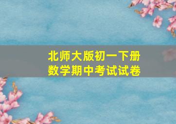 北师大版初一下册数学期中考试试卷