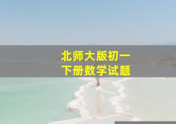 北师大版初一下册数学试题