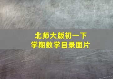 北师大版初一下学期数学目录图片