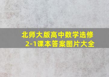 北师大版高中数学选修2-1课本答案图片大全