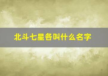 北斗七星各叫什么名字