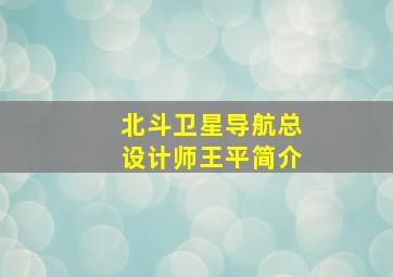 北斗卫星导航总设计师王平简介