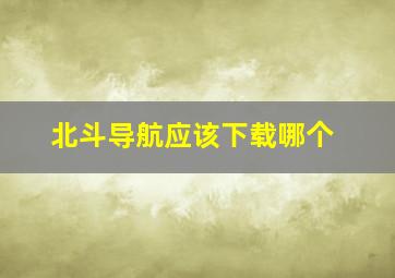 北斗导航应该下载哪个