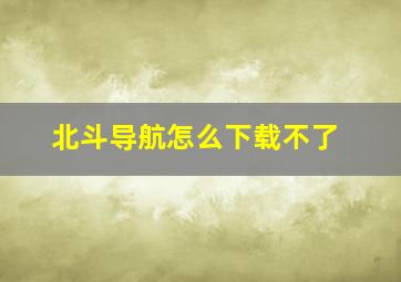 北斗导航怎么下载不了