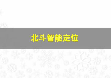 北斗智能定位