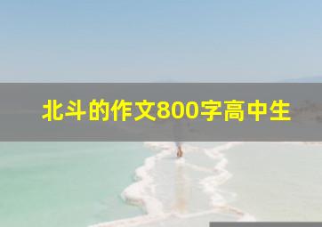 北斗的作文800字高中生