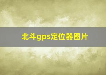 北斗gps定位器图片