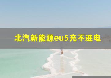 北汽新能源eu5充不进电