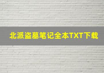 北派盗墓笔记全本TXT下载