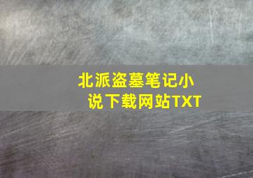 北派盗墓笔记小说下载网站TXT