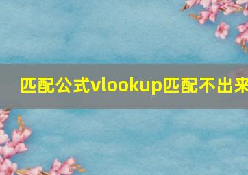 匹配公式vlookup匹配不出来