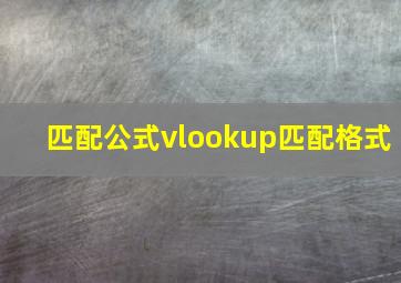 匹配公式vlookup匹配格式