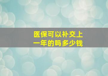 医保可以补交上一年的吗多少钱