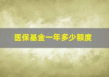 医保基金一年多少额度