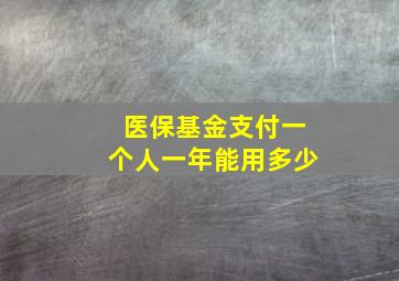 医保基金支付一个人一年能用多少