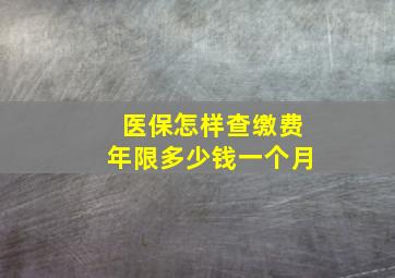 医保怎样查缴费年限多少钱一个月