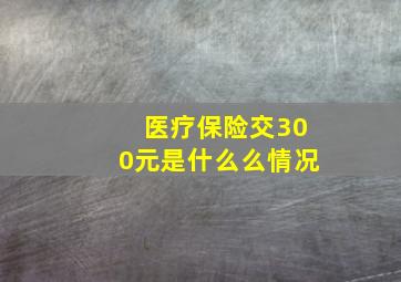 医疗保险交300元是什么么情况