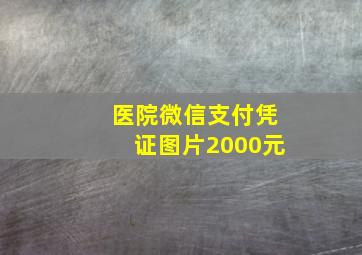 医院微信支付凭证图片2000元