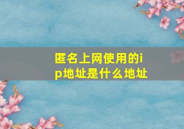 匿名上网使用的ip地址是什么地址