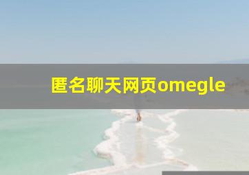 匿名聊天网页omegle