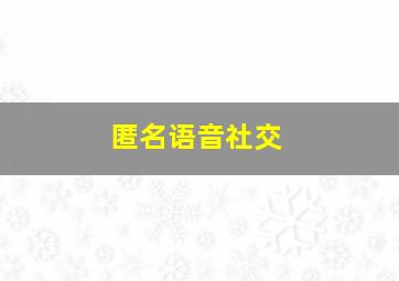 匿名语音社交