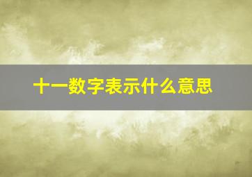 十一数字表示什么意思