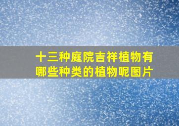 十三种庭院吉祥植物有哪些种类的植物呢图片