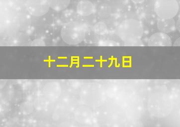 十二月二十九日