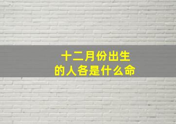 十二月份出生的人各是什么命