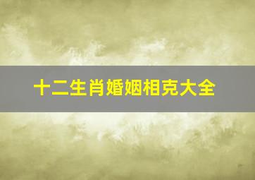 十二生肖婚姻相克大全