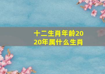 十二生肖年龄2020年属什么生肖