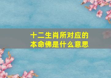 十二生肖所对应的本命佛是什么意思