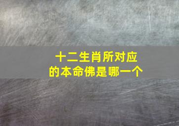 十二生肖所对应的本命佛是哪一个