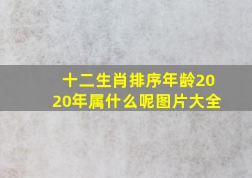 十二生肖排序年龄2020年属什么呢图片大全