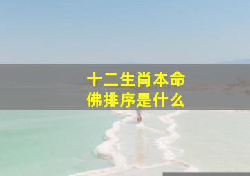 十二生肖本命佛排序是什么