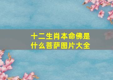 十二生肖本命佛是什么菩萨图片大全