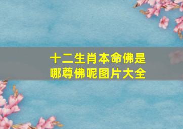 十二生肖本命佛是哪尊佛呢图片大全