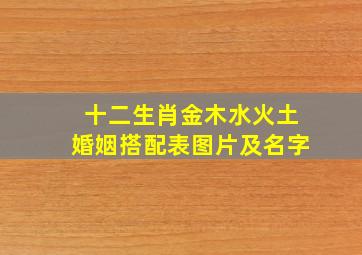 十二生肖金木水火土婚姻搭配表图片及名字