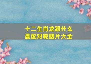 十二生肖龙跟什么最配对呢图片大全