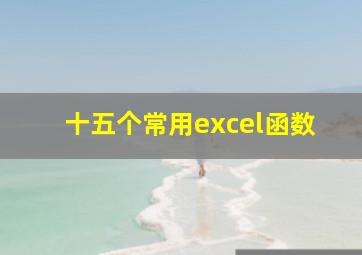 十五个常用excel函数